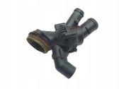 Thermostat/thermostat housing