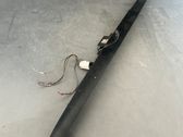 Trunk door license plate light bar