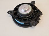 Front door speaker