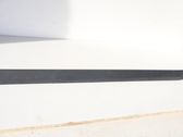Front door trim (molding)