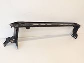 Radiator trim