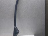 Other front door trim element