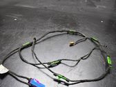 Front door wiring loom