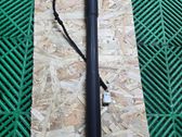 Tailgate/trunk strut/damper