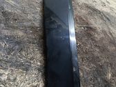 Rear door glass trim molding
