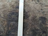 Rear bumper trim bar molding