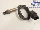 Lambdasonde Regelsonde