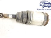 Stoßdämpfer hinten