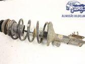 Front shock absorber with coil spring