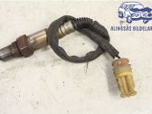 Sonde lambda
