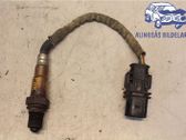Sonde lambda