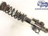 Rear shock absorber/damper