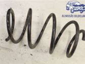 Front coil spring