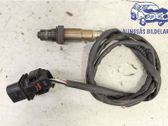Sonde lambda