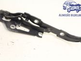 Tailgate/trunk/boot hinge