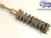 Front shock absorber with coil spring