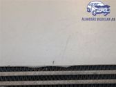 Radiador intercooler