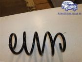 Front coil spring