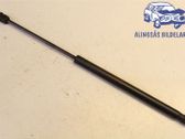 Front bonnet/hood damper/strut