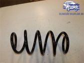 Front coil spring