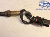Sonde lambda