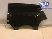 Rear door window glass