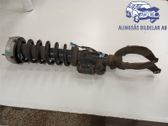Front shock absorber with coil spring