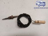 Sensor de temperatura del escape