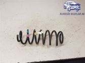 Feder hinten