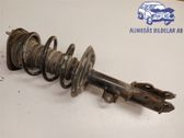 Front shock absorber with coil spring