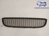Front bumper upper radiator grill
