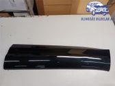 Front door trim (molding)