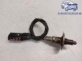 Sonde lambda