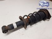 Stoßdämpfer hinten