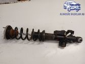 Rear shock absorber/damper