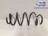 Front coil spring