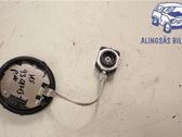 Light module LCM