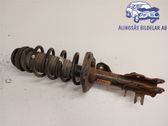 Front shock absorber with coil spring