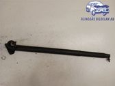 Tailgate/trunk strut/damper