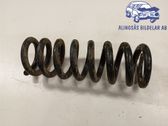Front coil spring