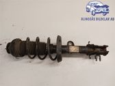 Front shock absorber with coil spring