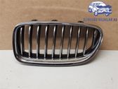 Front bumper lower grill