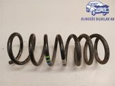 Rear coil spring