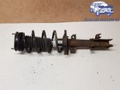Front shock absorber with coil spring