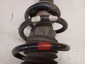 Front shock absorber with coil spring