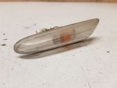 Front fender indicator light