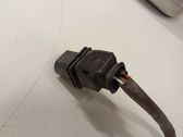 Lambdasonde Regelsonde