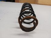 Rear coil spring