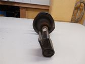 Front shock absorber with coil spring