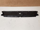 Engine bonnet/hood lock trim molding